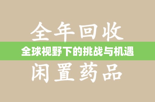 全国全球视野下的挑战与机遇