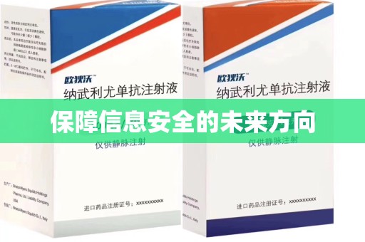 全国保障信息安全的未来方向