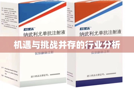 全国机遇与挑战并存的行业分析