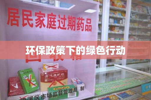 全国环保政策下的绿色行动