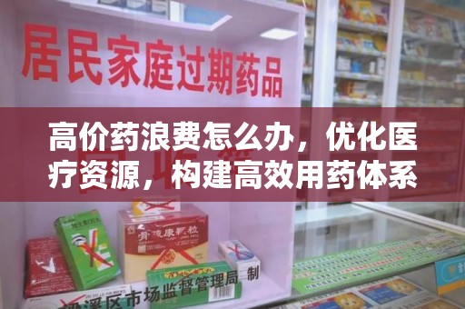 全国高价药浪费怎么办，优化医疗资源，构建高效用药体系