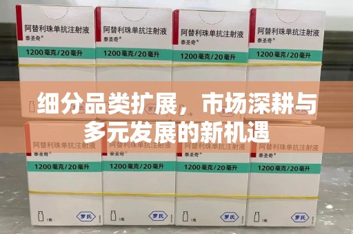 全国细分品类扩展，市场深耕与多元发展的新机遇
