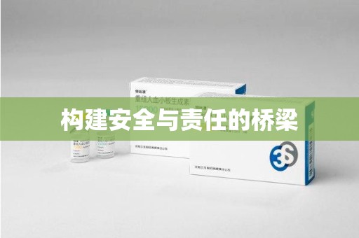 全国构建安全与责任的桥梁